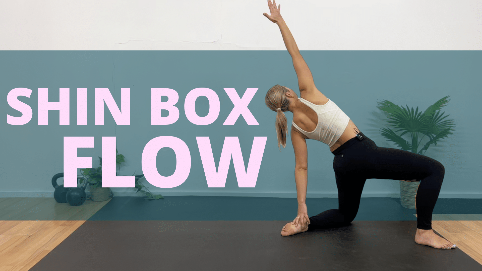 Shi Box Extensions SHIN BOX FLOW - MOTUM Health